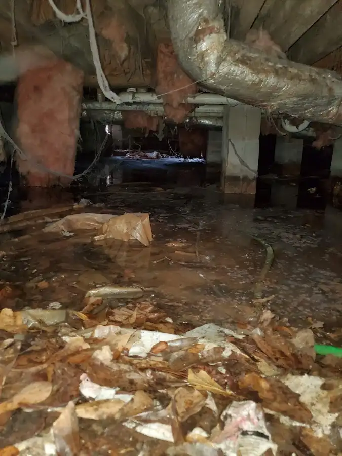 Crawl space flood assessment for Leak Detection & Repair in Stafford