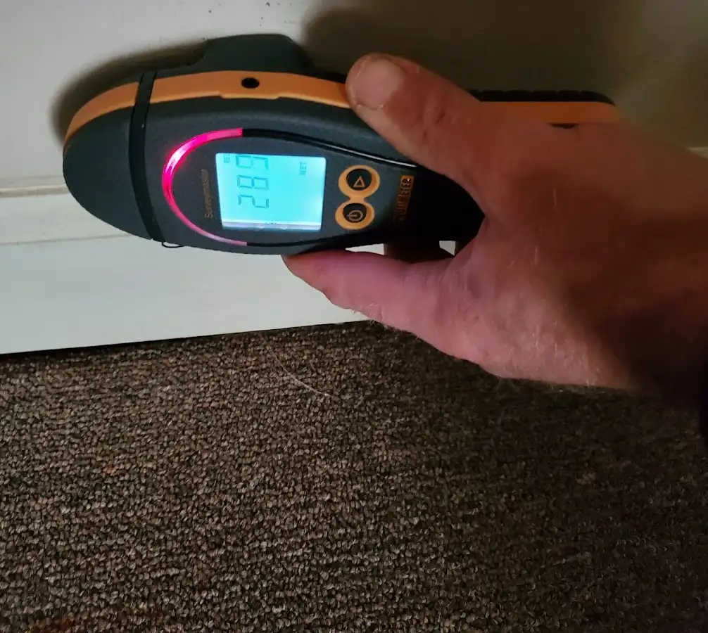 Moisture detection at baseboard during Sewage Cleanup & Sanitation in Stafford